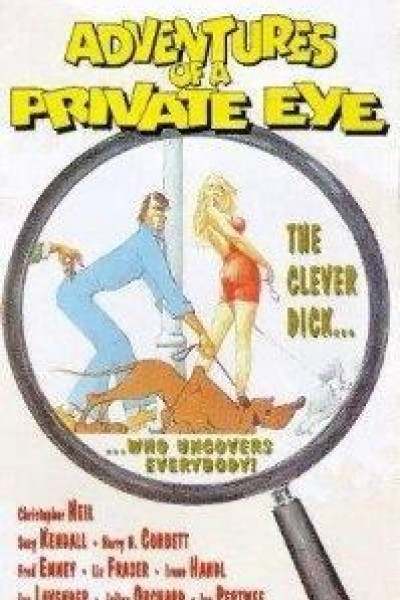 Caratula, cartel, poster o portada de Adventures of a Private Eye