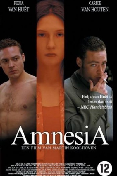 Caratula, cartel, poster o portada de AmnesiA