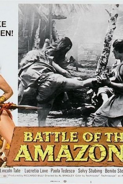 Caratula, cartel, poster o portada de Las amazonas mujeres de amor y guerra