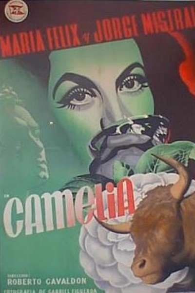 Caratula, cartel, poster o portada de Camelia