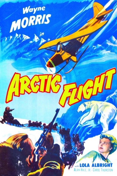 Caratula, cartel, poster o portada de Arctic Flight