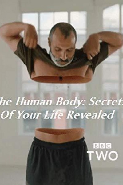 Caratula, cartel, poster o portada de Los secretos del cuerpo humano