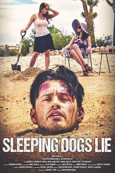 Caratula, cartel, poster o portada de Sleeping Dogs Lie