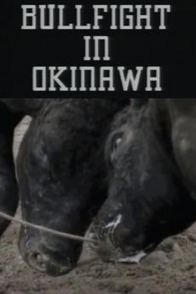 Caratula, cartel, poster o portada de Bullfight in Okinawa