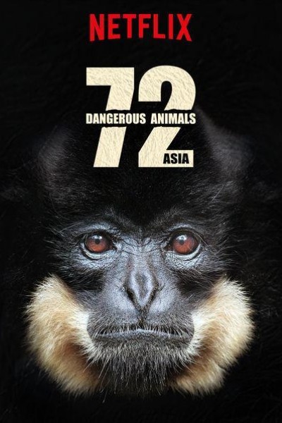 Caratula, cartel, poster o portada de 72 Animales peligrosos: Asia