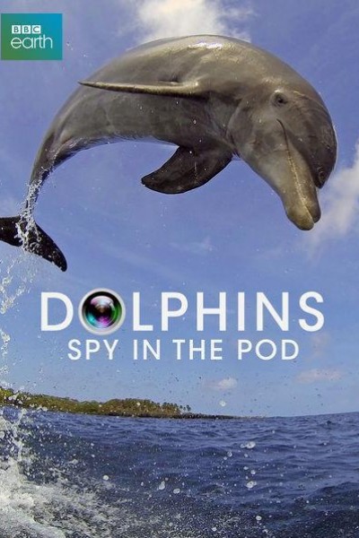 Caratula, cartel, poster o portada de Delfines. Un espía en la manada