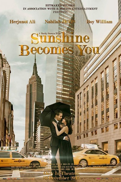 Caratula, cartel, poster o portada de Sunshine Becomes You