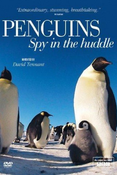 Caratula, cartel, poster o portada de Penguins – Spy in the Huddle