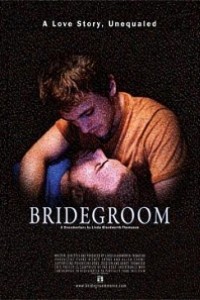 Caratula, cartel, poster o portada de Bridegroom