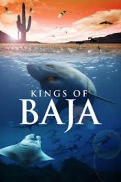 Caratula, cartel, poster o portada de Los reyes de Baja