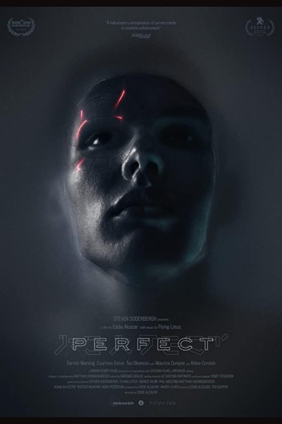 Caratula, cartel, poster o portada de Perfect