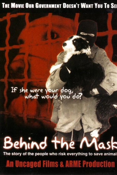 Caratula, cartel, poster o portada de Behind the Mask