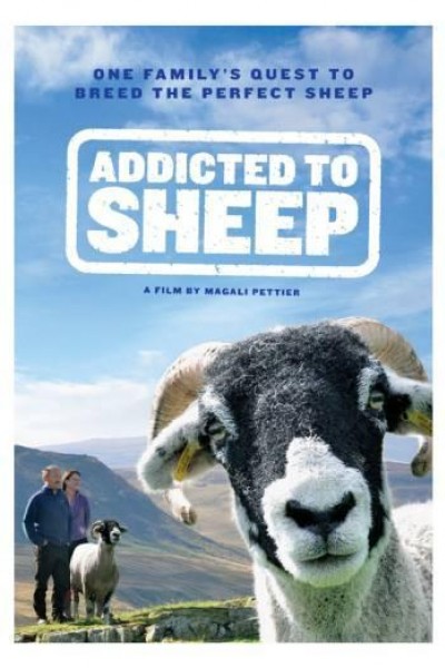 Caratula, cartel, poster o portada de Addicted to Sheep