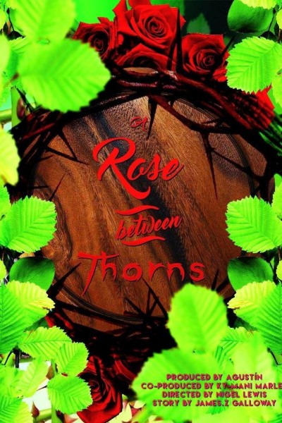 Caratula, cartel, poster o portada de A Rose Between Thorns