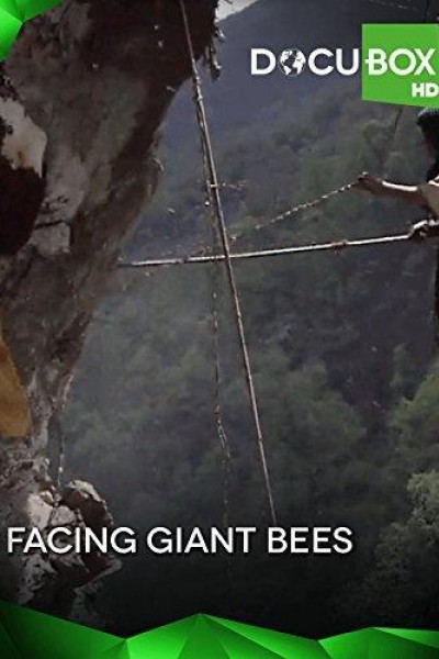 Cubierta de Facing the Giant Bees
