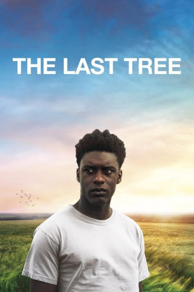 Caratula, cartel, poster o portada de The Last Tree