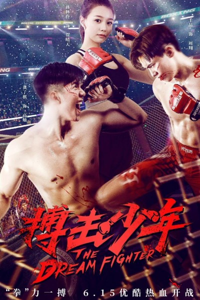 Caratula, cartel, poster o portada de The Dream Fighter