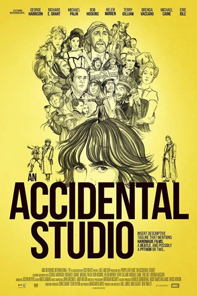 Caratula, cartel, poster o portada de An Accidental Studio