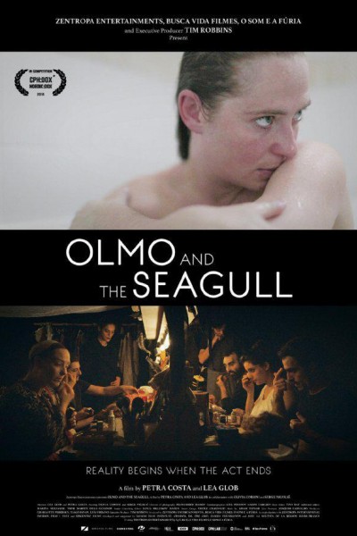 Caratula, cartel, poster o portada de Olmo & the Seagull