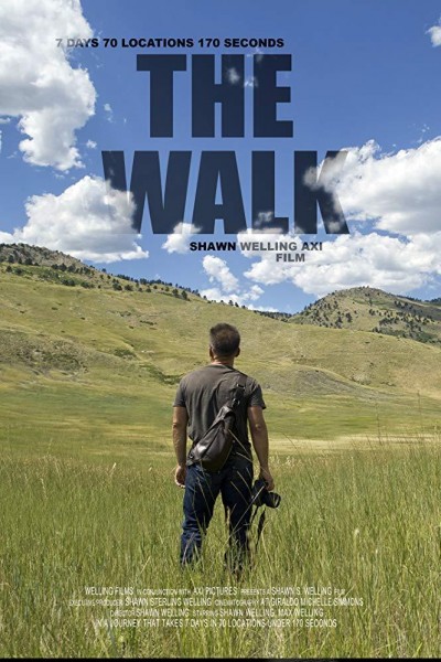 Caratula, cartel, poster o portada de The Walk