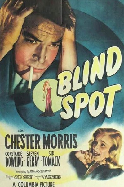 Caratula, cartel, poster o portada de Blind Spot