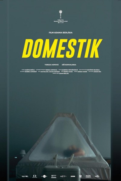 Caratula, cartel, poster o portada de Domestik