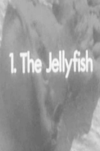 Caratula, cartel, poster o portada de The Jellyfish