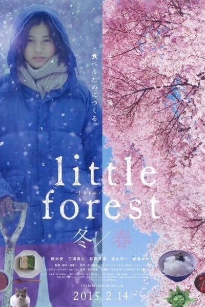 Caratula, cartel, poster o portada de Little Forest: Winter/Spring