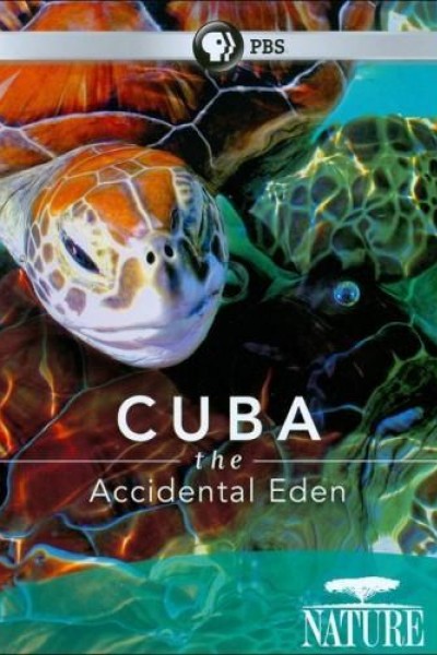 Caratula, cartel, poster o portada de Cuba: The Accidental Eden