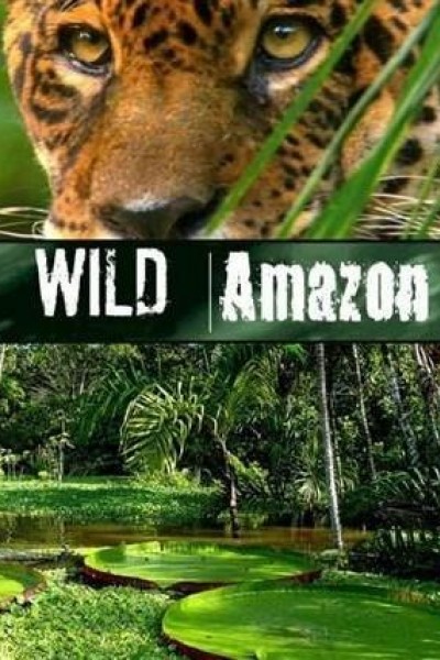 Caratula, cartel, poster o portada de Wild Amazon