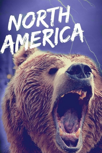 Caratula, cartel, poster o portada de Norteamérica