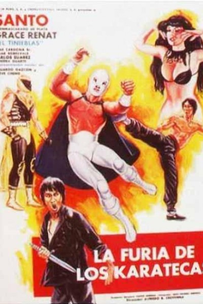 Caratula, cartel, poster o portada de La furia de los karatecas