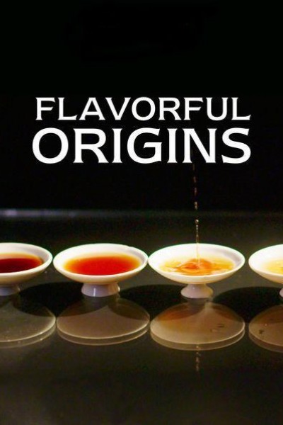Caratula, cartel, poster o portada de Flavorful Origins