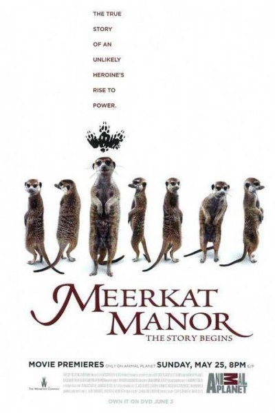 Caratula, cartel, poster o portada de Meerkat Manor: The Story Begins