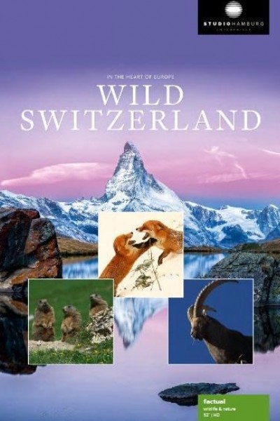 Caratula, cartel, poster o portada de Suiza salvaje