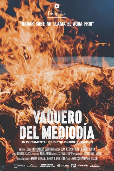 Caratula, cartel, poster o portada de Vaquero del mediodía