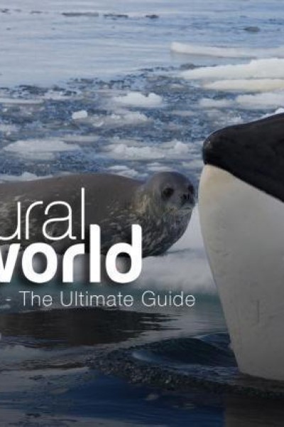 Caratula, cartel, poster o portada de Killer Whales: The Ultimate Guide