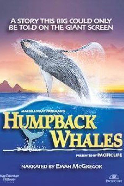 Caratula, cartel, poster o portada de Humpback Whales