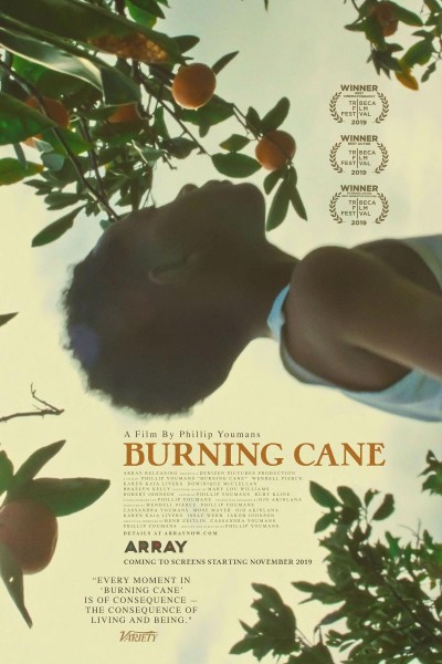 Caratula, cartel, poster o portada de Burning Cane