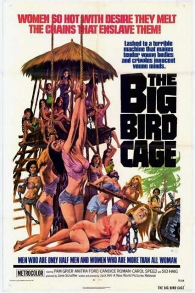 Caratula, cartel, poster o portada de The Big Bird Cage