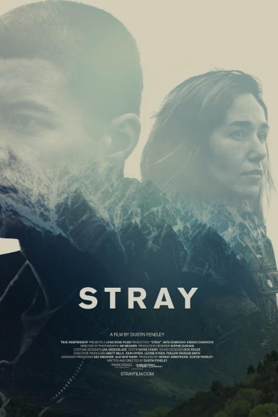 Caratula, cartel, poster o portada de Stray