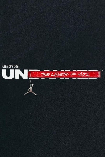 Caratula, cartel, poster o portada de Unbanned: The Legend of AJ1