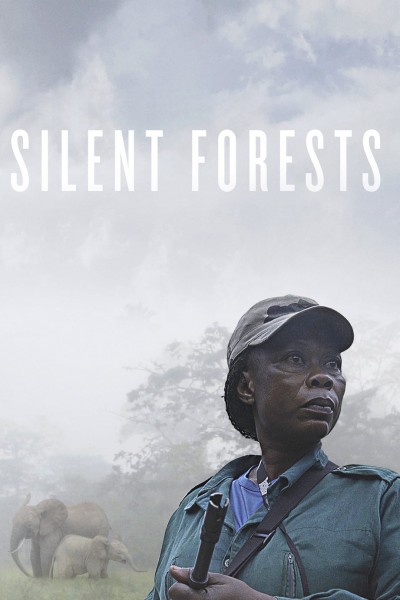 Caratula, cartel, poster o portada de Bosques silenciosos