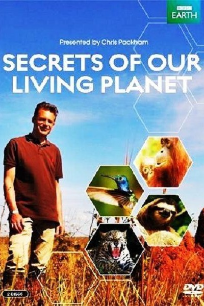 Caratula, cartel, poster o portada de Secrets of Our Living Planet