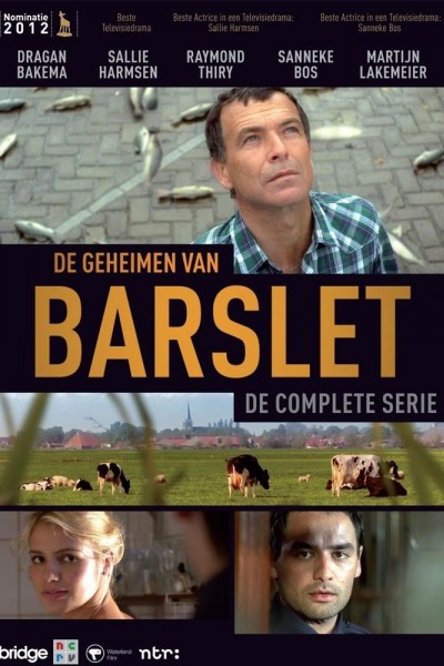 Caratula, cartel, poster o portada de De geheimen van Barslet