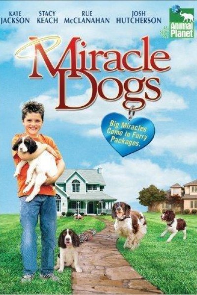 Caratula, cartel, poster o portada de Miracle Dogs