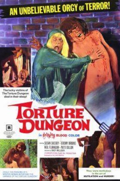 Caratula, cartel, poster o portada de Torture Dungeon