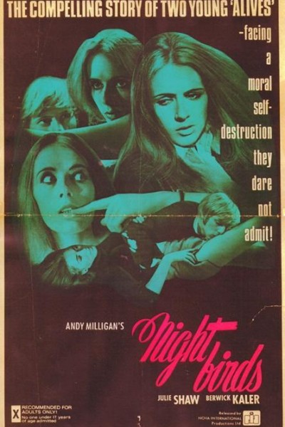 Caratula, cartel, poster o portada de Nightbirds