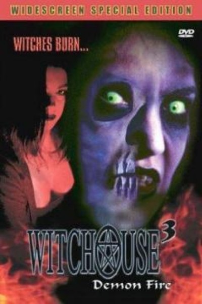 Caratula, cartel, poster o portada de La casa de las brujas 3