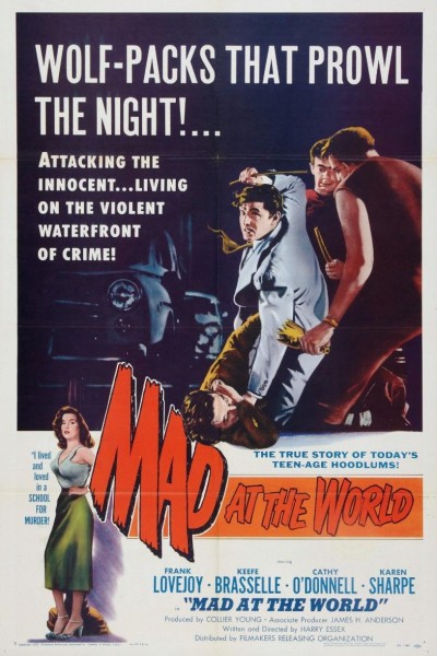 Caratula, cartel, poster o portada de Mad at the World